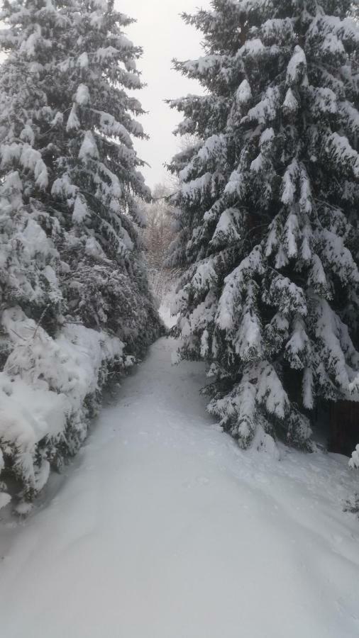 Chata Linia Kokava nad Rimavicou エクステリア 写真